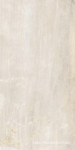 Керамогранит для пола и стены Serenissima Fossil  Crema LUX 60x120 1066567