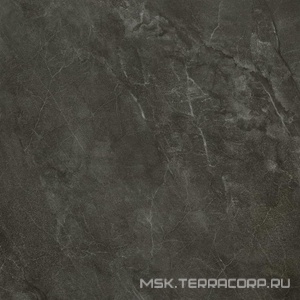 Керамогранит для пола и стены Imola Muse  60DG PT ZZ60x60    149453