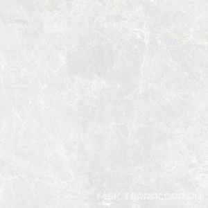 Керамогранит для пола и стены Гранитея Синара Sinara Elegant G311/ элегантный полировнный 60x60 G311PR