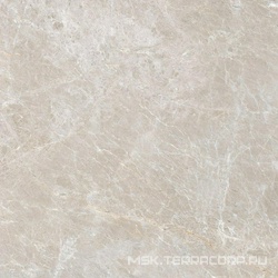 Sinara Brown G314/Синара коричневый полированный 60x60