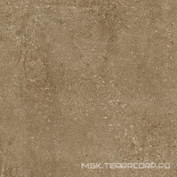 Гранит Перла коричневый MR матовый ХХ 60x60