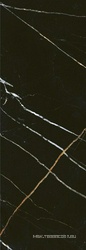 BLACK & GOLD |24.2x70