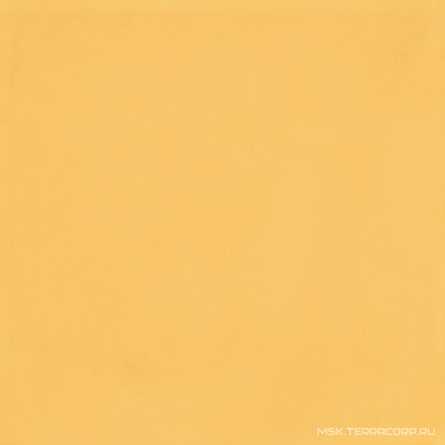 Vita Giallo Luc ZZ |20x20