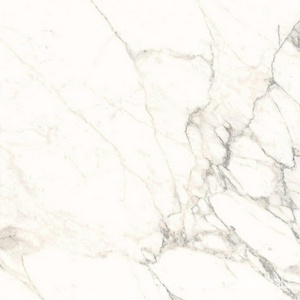 Керамогранит для пола и стены Ariostea Marmi Classici Arabescato Classico Luc 60x60 PL6513