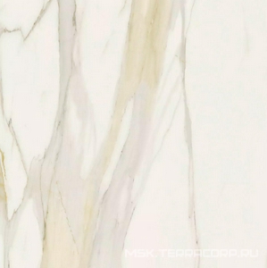 Керамогранит для пола и стены Florim Magnum I Classici di Rex Calacatta Gold Glossy 120x120 750702