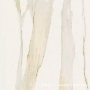 Керамогранит для пола и стены Florim Magnum I Classici di Rex Calacatta Gold Glossy 120x120 750702