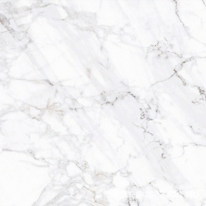 Керамогранит для пола и стены ProGRES Ceramica Калакатта  светло-серый матовый 60х60 NR0330