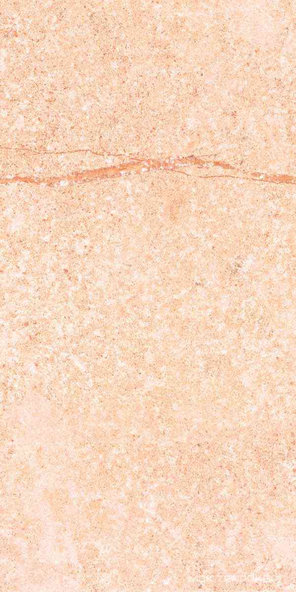 Shunut Beige G302/Шунут бежевый мат 60x120 XX
