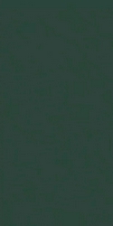 Crayons Moss Matte ZZ 120x240