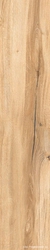 Daring Honey |24x120