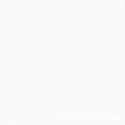 Total White Sat 5P ZZ|100x100