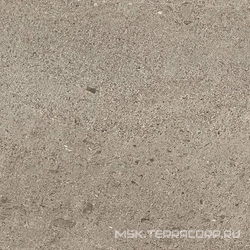 W. Silver Grey Bottone Lap/В. Сильвер Грей Вставка Лаппато