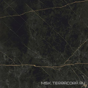 Керамогранит для пола и стены Idalgo Гранит Сандра  черно-оливковый MR матовый 60x60 ID9064E080MR