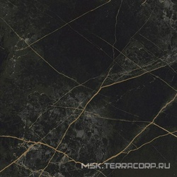 Гранит Сандра черно-оливковый MR матовый ZZ |60x60