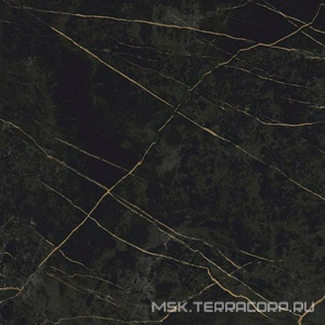 Керамогранит для пола и стены Idalgo Гранит Сандра  черно-оливковый MR матовый 60x60 ID9064E080MR