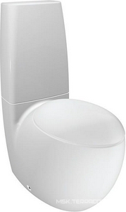 Чаша напольного унитаза 39х72см, БЕЗ бачка и сиденья, крепл. к полу в компл., Alessi Laufen alessi 8.2297.6.400.000.1