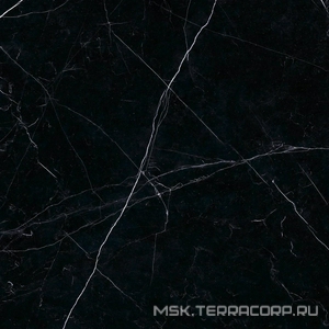 Керамогранит для пола Ariostea marmi classici Nero Marquinia Luc  60x60 Черный PL6547