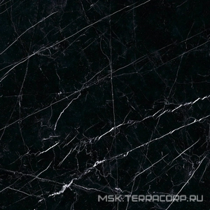 Керамогранит для пола Ariostea marmi classici Nero Marquinia Luc  60x60 Черный PL6547