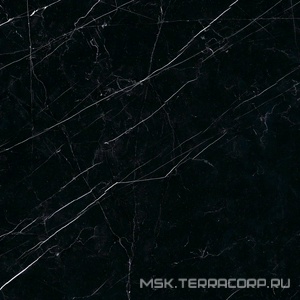 Керамогранит для пола Ariostea marmi classici Nero Marquinia Luc  60x60 Черный PL6547
