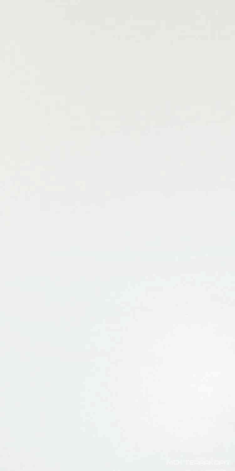 Solid White Matt 40x80 ZZ