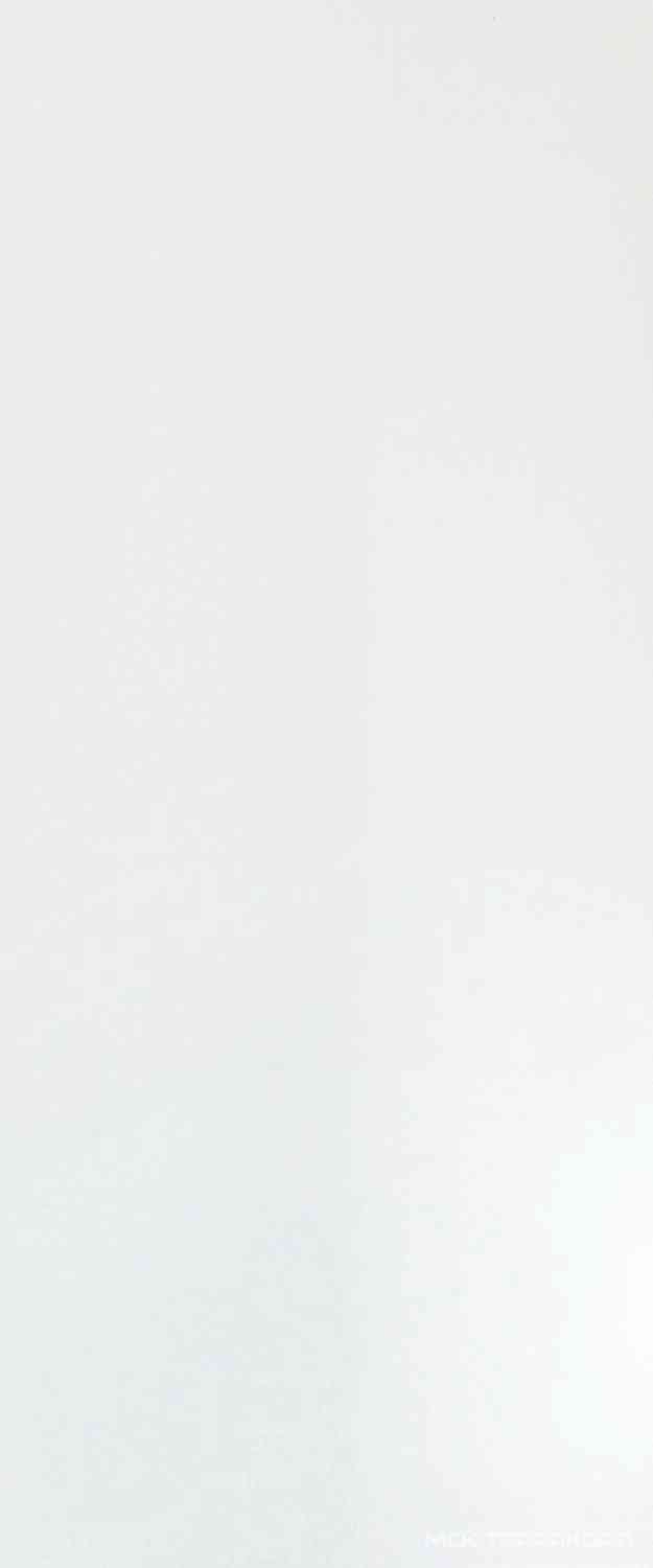 Solid White Glossy 50x120 ZZ