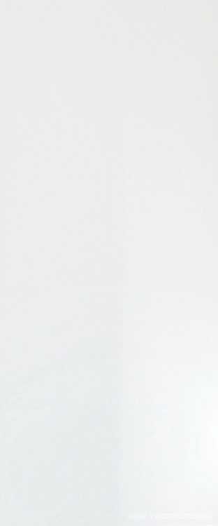 Solid White Glossy 50x120 ZZ
