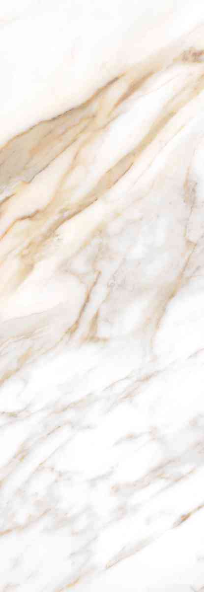 CALACATTA  ORO |24.2x70
