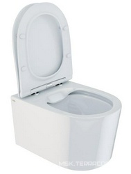 Унитаз подвесной Iddis Stone STORDSEi25| 49x37x34