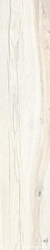 Daring Ivory |24x120