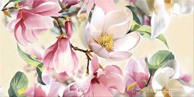 Boho Magnolia XX|31.5x63