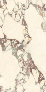 Керамогранит для пола и стены Ariostea Marmi Classici Calacatta Viola Soft 60x120 P612671