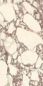 Керамогранит для пола и стены Ariostea Marmi Classici Calacatta Viola Soft 60x120 P612671