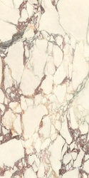 Calacatta Viola Soft 60x120