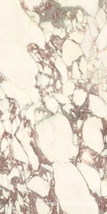 Керамогранит для пола и стены Ariostea Marmi Classici Calacatta Viola Soft 60x120 P612671