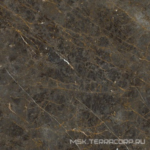 Керамогранит для пола и стены La Faenza Aesthetica AE GOL6 120 RM ( п.п.)120x120 182609