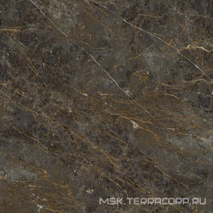 Керамогранит для пола и стены La Faenza Aesthetica AE GOL6 120 RM ( п.п.)120x120 182609