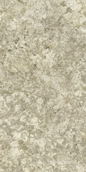 F.d.M.Quark Braz. Gold 60x120 Grip/Ф.Д.М.Кварк Браз. Голд 60Х120 Грип
