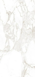 Roma Calacatta Matt ZZ I 50x120