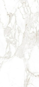 Керамическая плитка для стены FAP Ceramiche Roma  Calacatta Matt I 50x120 fPP5