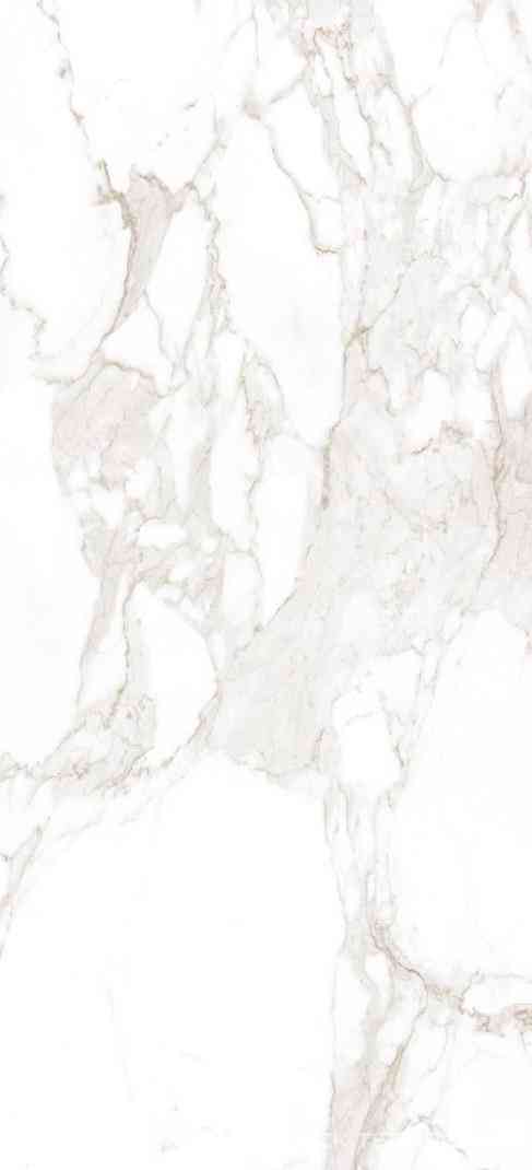 Roma Calacatta Matt ZZ I 50x120