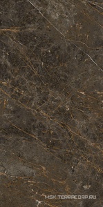 Керамогранит для пола и стены La Faenza Aesthetica AE GOL6 12 LP 60x120 182581