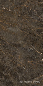 Керамогранит для пола и стены La Faenza Aesthetica AE GOL6 12 LP 60x120 182581