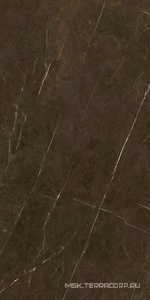 Керамогранит для пола и стены Benadresa Tessino  Bronze Pulido ZZ 60x120 n128212