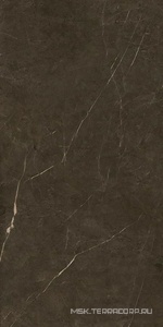 Керамогранит для пола и стены Benadresa Tessino  Bronze Pulido ZZ 60x120 n128212