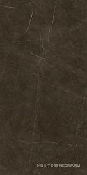 Tessino Bronze Pulido |60x120