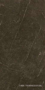 Керамогранит для пола и стены Benadresa Tessino  Bronze Pulido ZZ 60x120 n128212