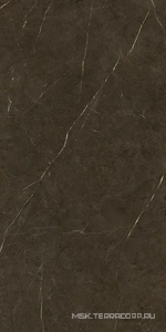 Керамогранит для пола и стены Benadresa Tessino  Bronze Pulido ZZ 60x120 n128212