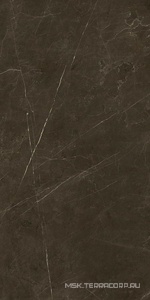 Керамогранит для пола и стены Benadresa Tessino  Bronze Pulido ZZ 60x120 n128212