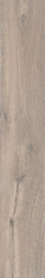 Roots Taupe 20x120