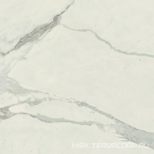 Керамогранит для пола и стены AtlasConcorde Россия EMPIRE Empire Statuario 60x60 /ЭМПАИР СТАТУАРИО 60x60 610010002191